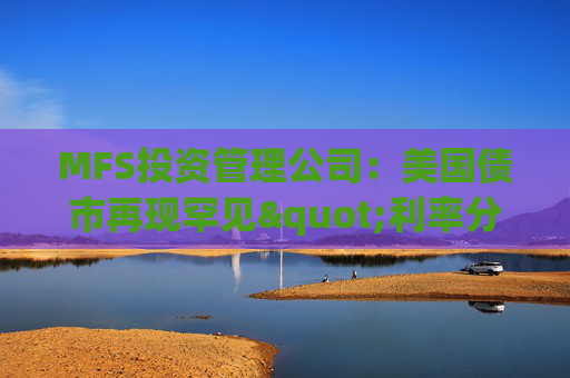 MFS投资管理公司：美国债市再现罕见"利率分化"现象  第1张