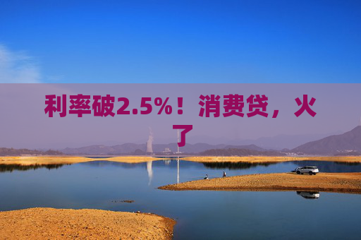 利率破2.5%!消费贷,火了