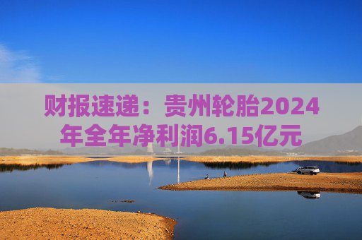 财报速递:贵州轮胎2024年全年净利润6.15亿元 第1张 财报速递:贵州轮胎2024年全年净利润6.15亿元 第1张