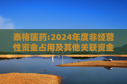 泰格医药:2024年度非经营性资金占用及其他关联资金往来情况的专项报告