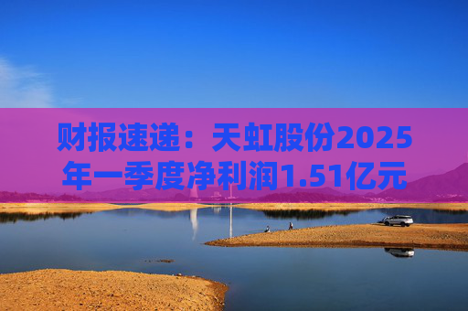 财报速递：天虹股份2025年一季度净利润1.51亿元  第1张