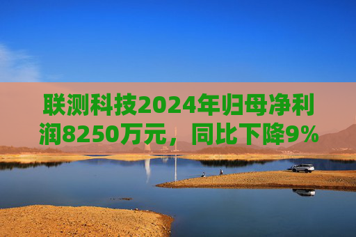 联测科技2024年归母净利润8250万元，同比下降9%