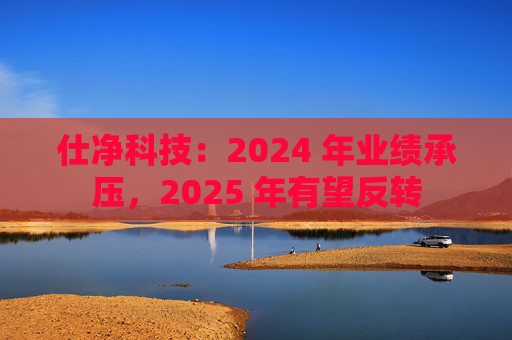 仕净科技：2024 年业绩承压，2025 年有望反转