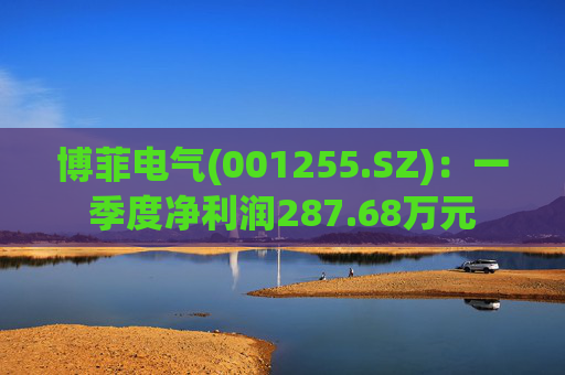 博菲电气(001255.SZ)：一季度净利润287.68万元  第1张