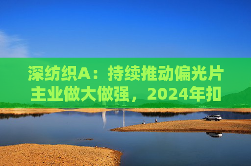 深纺织A：持续推动偏光片主业做大做强，2024年扣非归母净利润增长23.58%