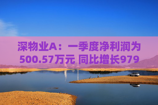 深物业A：一季度净利润为500.57万元 同比增长979.79%