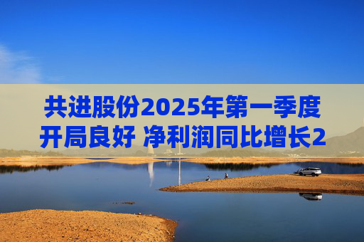 共进股份2025年第一季度开局良好 净利润同比增长267.63%
