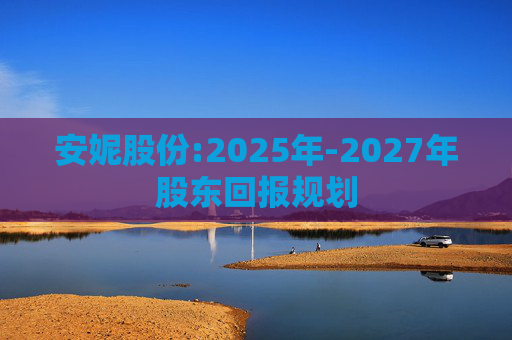 安妮股份:2025年-2027年股东回报规划