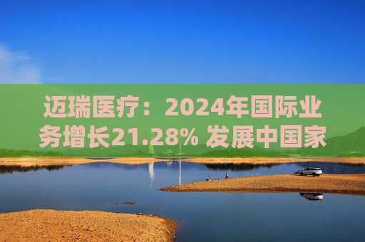 迈瑞医疗：2024年国际业务增长21.28% 发展中国家成重要增长引擎  第1张