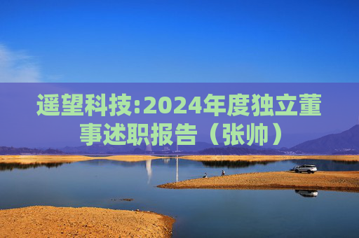 遥望科技:2024年度独立董事述职报告(张帅)
