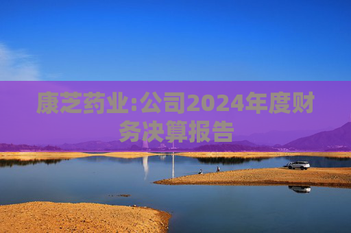 康芝药业:公司2024年度财务决算报告