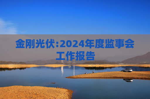 金刚光伏:2024年度监事会工作报告