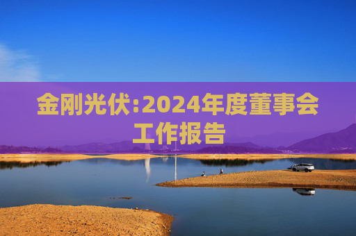 金刚光伏:2024年度董事会工作报告  第1张