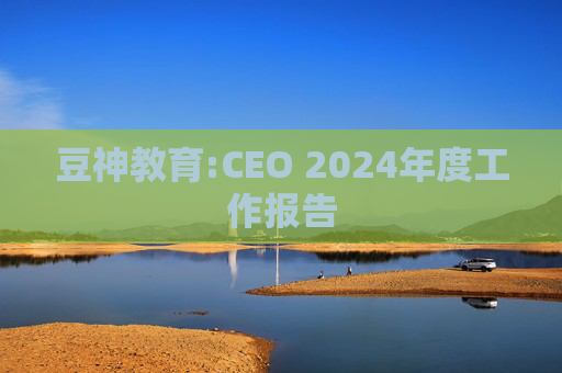 豆神教育:CEO 2024年度工作报告