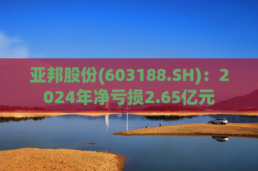 亚邦股份(603188.SH):2024年净亏损2.65亿元