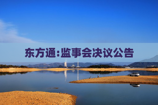东方通:监事会决议公告