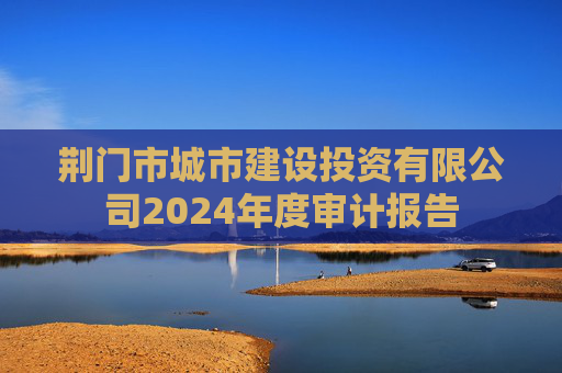荆门市城市建设投资有限公司2024年度审计报告