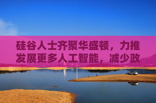 硅谷人士齐聚华盛顿，力推发展更多人工智能，减少政府干预