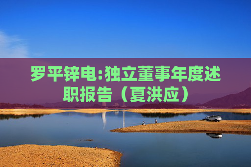 罗平锌电:独立董事年度述职报告（夏洪应）
