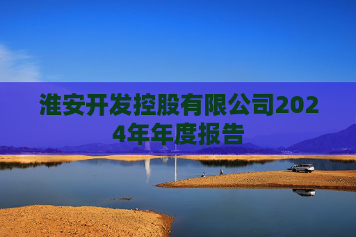 淮安开发控股有限公司2024年年度报告  第1张