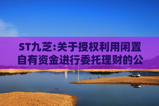 ST九芝:关于授权利用闲置自有资金进行委托理财的公告