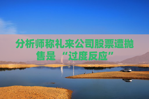 分析师称礼来公司股票遭抛售是 “过度反应”