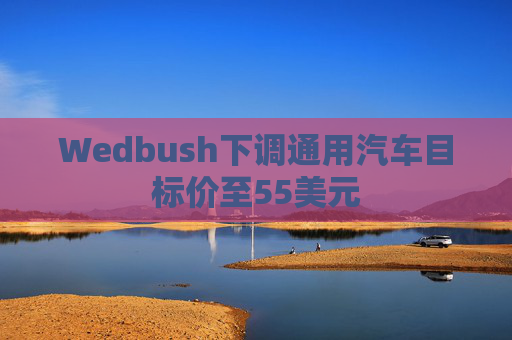 Wedbush下调通用汽车目标价至55美元