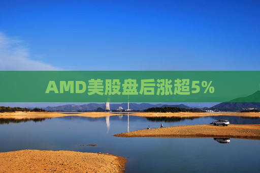 AMD美股盘后涨超5%