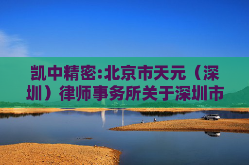 凯中精密:北京市天元（深圳）律师事务所关于深圳市凯中精密技术股份有限公司2024年年度股东大会的法律意见  第1张