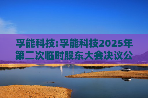 孚能科技:孚能科技2025年第二次临时股东大会决议公告  第1张