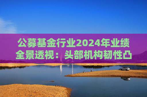 公募基金行业2024年业绩全景透视:头部机构韧性凸显 中小公司差异化突围