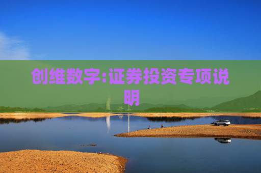 创维数字:证券投资专项说明