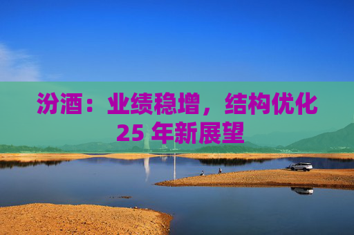 汾酒:业绩稳增,结构优化 25 年新展望