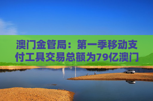 澳门金管局：第一季移动支付工具交易总额为79亿澳门元 同比上升8.7%