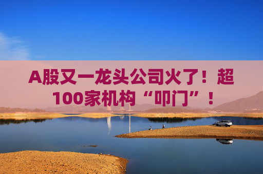 A股又一龙头公司火了！超100家机构“叩门”！