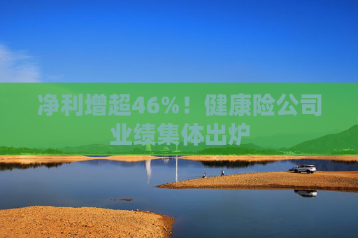 净利增超46%!健康险公司业绩集体出炉