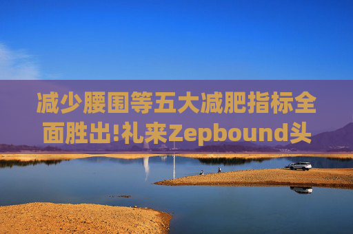 减少腰围等五大减肥指标全面胜出!礼来Zepbound头对头试验碾压诺和诺德(NVO.US)Wegovy  第1张