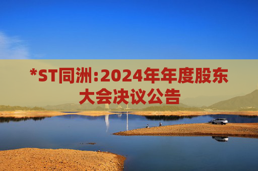 *ST同洲:2024年年度股东大会决议公告