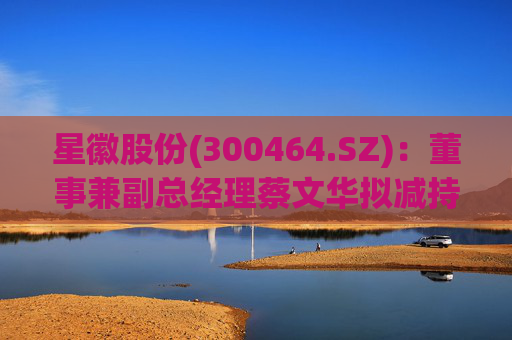星徽股份(300464.SZ):董事兼副总经理蔡文华拟减持20.25万股