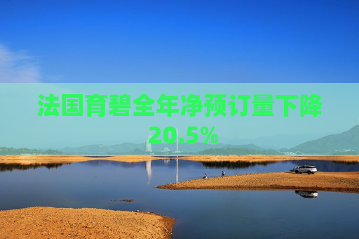 法国育碧全年净预订量下降 20.5%  第1张