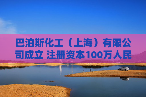 巴泊斯化工(上海)有限公司成立 注册资本100万人民币