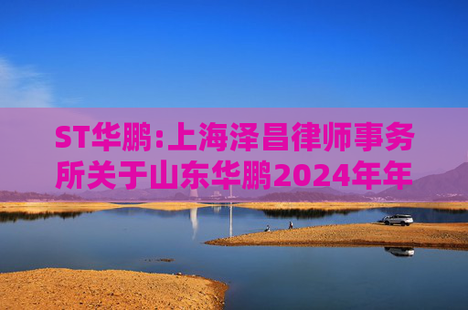 ST华鹏:上海泽昌律师事务所关于山东华鹏2024年年度股东大会的法律意见书
