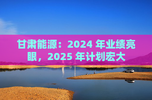 甘肃能源：2024 年业绩亮眼，2025 年计划宏大