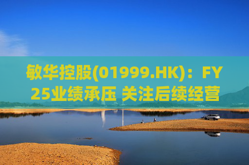 敏华控股(01999.HK)：FY25业绩承压 关注后续经营改善