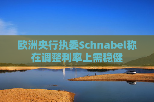 欧洲央行执委Schnabel称在调整利率上需稳健 第1张 欧洲央行执委Schnabel称在调整利率上需稳健 第1张