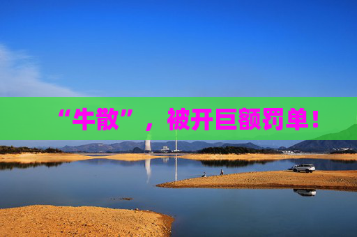 “牛散”，被开巨额罚单！  第1张