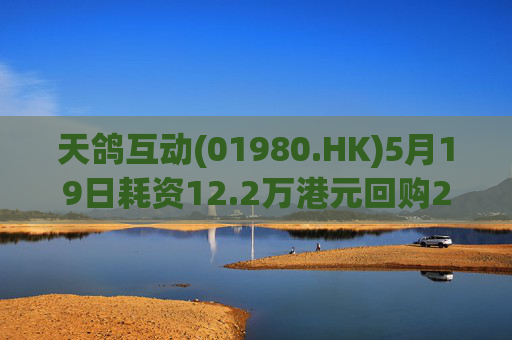 天鸽互动(01980.HK)5月19日耗资12.2万港元回购20万股