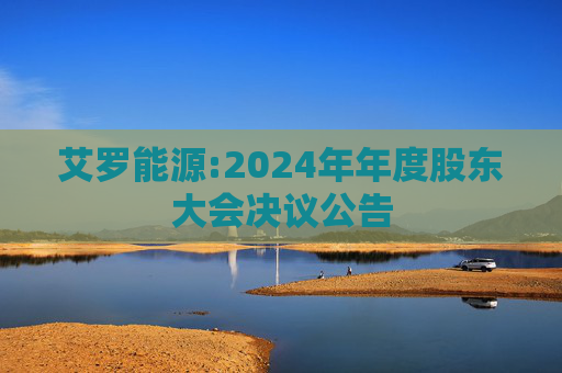 艾罗能源:2024年年度股东大会决议公告