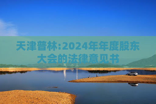 天津普林:2024年年度股东大会的法律意见书