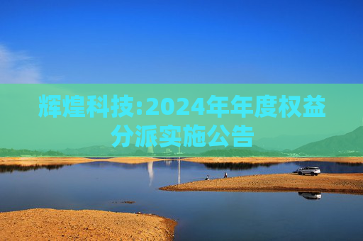 辉煌科技:2024年年度权益分派实施公告  第1张